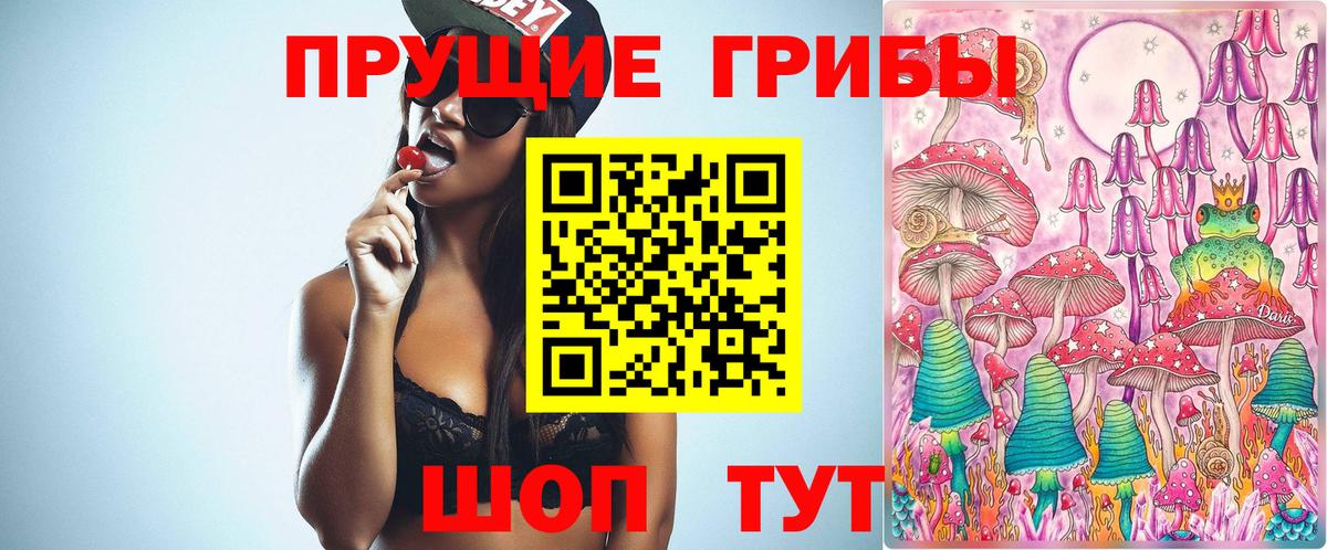 Вологда  Галлюциногенные грибы MAGIC MUSHROOMS  Вход с VPN 